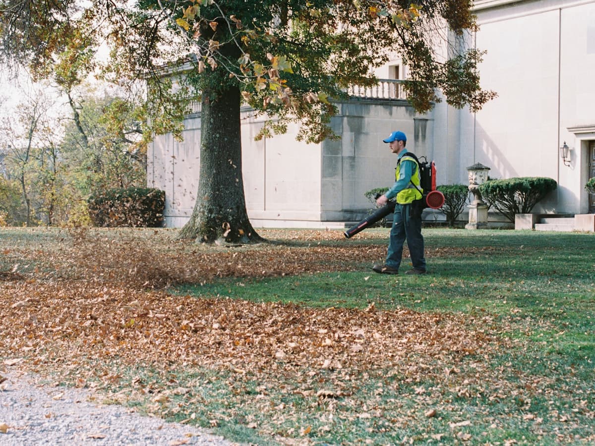 Garden Clean Up