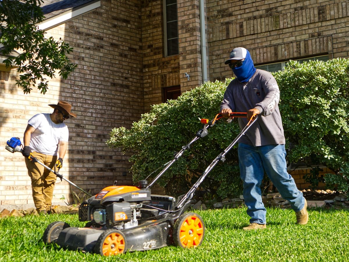 Lawn Cutting